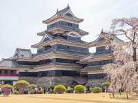 Chasing Sakura at Matsumoto Castle