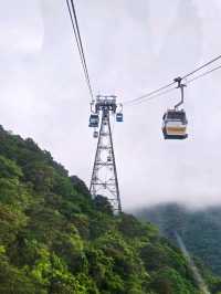 大嶼山天壇大佛遊覽打卡⛰️