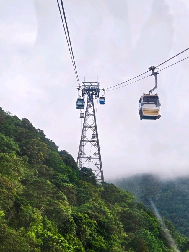 大嶼山天壇大佛遊覽打卡⛰️