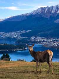 Unforgettable Views and Wildlife at Deer Park Heights🦌✨️