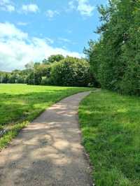 Bute Park