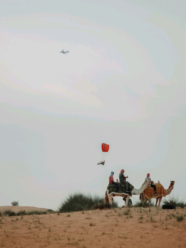 Desert Safari in Dubai!