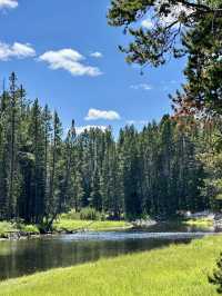 Yellowstone 🌏 🌱 