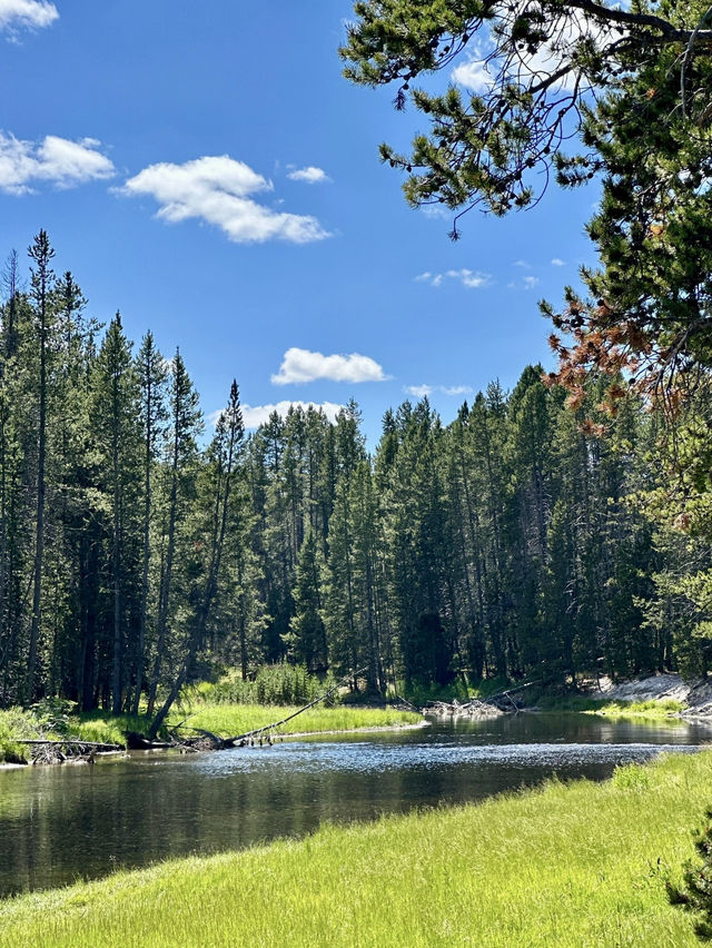 Yellowstone 🌏 🌱 
