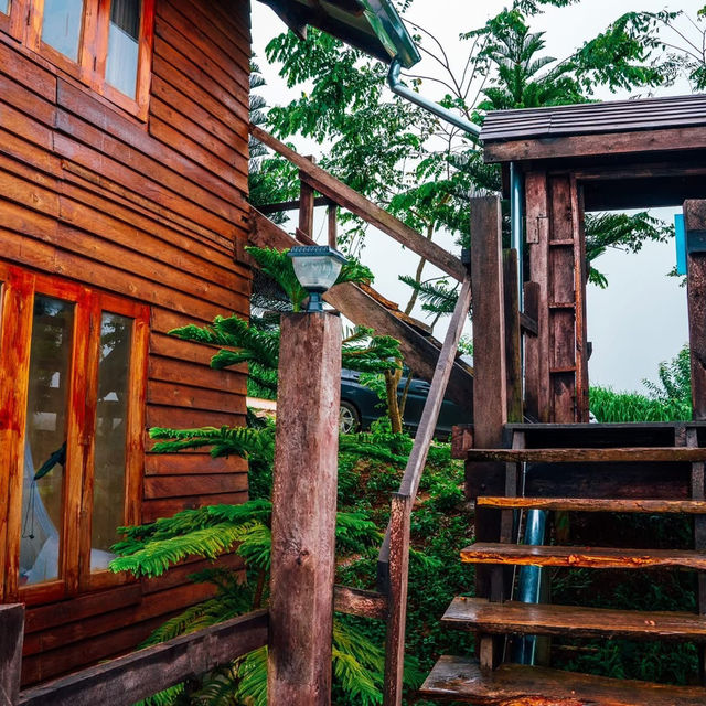 กระท่อมลุงเดวิด - Uncle David’s Cabin