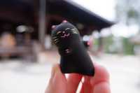 3 สุดยอดทิวทัศน์ของญี่ปุ่น : Amanohashidate