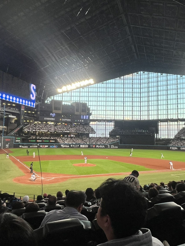 野球がわからなくても楽しめるテーマパーク⚾️💖