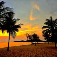 Sunsets in paradise 🇻🇳 Phu Quoc