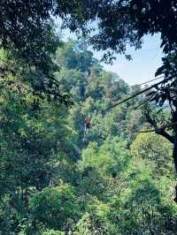 ตาดฟาน -​ Zipline