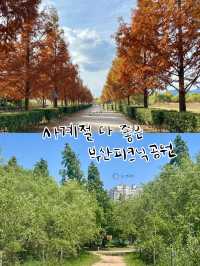 사계절 다 예쁜 피크닉하기 좋은 부산공원