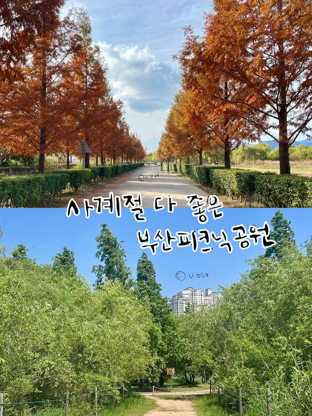 사계절 다 예쁜 피크닉하기 좋은 부산공원