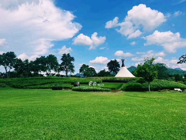 泰國曼谷附近最美國家公園景點：考艾國家公園，適合打卡拍照📸