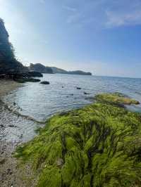 天国に続きそうな場所【小豆島】