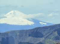 東京追櫻河口湖追富士山