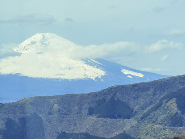 東京追櫻河口湖追富士山