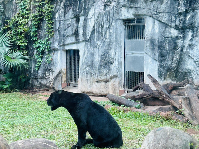 #廣州動物園#親子活動