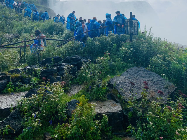 Spring Adventures on the Maid of the Mist