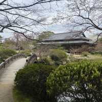 【山口県下関市🇯🇵長府庭園】歴史に触れながら庭園散歩☺️