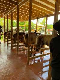 Theme park in Quezon Province, Ph