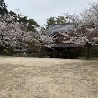 【山口県下関市長府🇯🇵功山寺】見どころたくさん☺️長府巡り