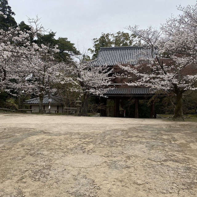 【山口県下関市長府🇯🇵功山寺】見どころたくさん☺️長府巡り