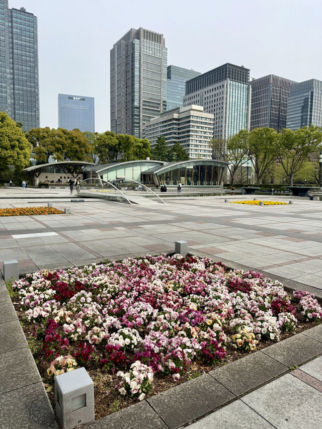 Spring Serenity at Wadakura Fountain Park🦢
