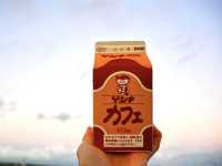 【石垣島】 島限定のおいしい八重山ゲンキ乳業
