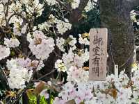 預約才進得去的～造幣局❤️