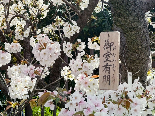 預約才進得去的～造幣局❤️