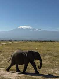 Kilimanjaro from Amboseli National Park, Kenya