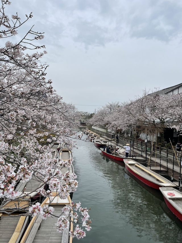 A must-do in Yanagawa 
