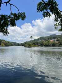 Kandy Chronicles: Temples, Tea, and Mountain Magic