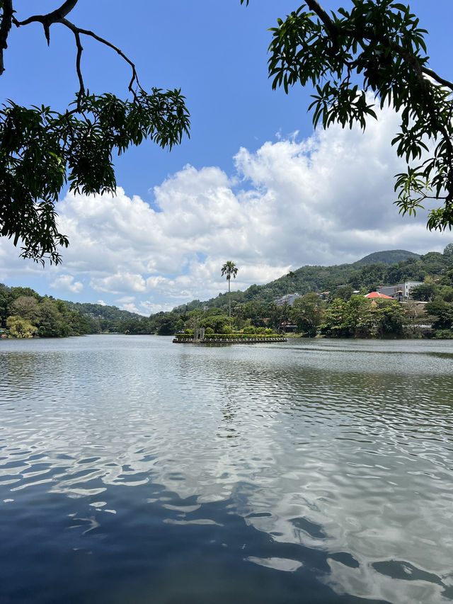 Kandy Chronicles: Temples, Tea, and Mountain Magic