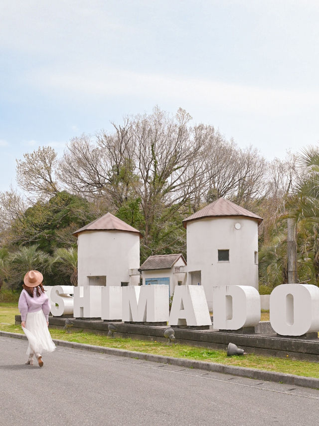 穴場の絶景桜スポット🌸💓
