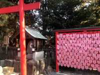 【犬山城の麓で歴史と祭りを感じる「針綱神社」】