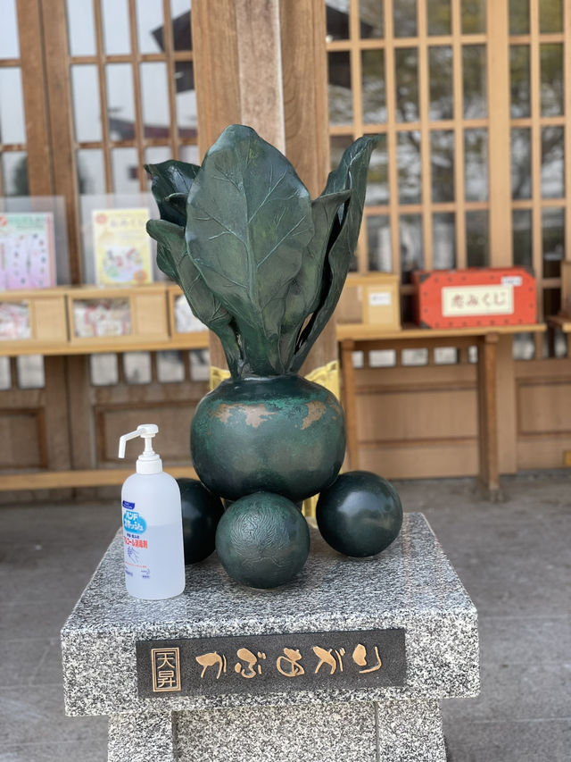 【青森×蕪島神社】ウミネコ3万から4万羽 空から運が降ってくる神社
