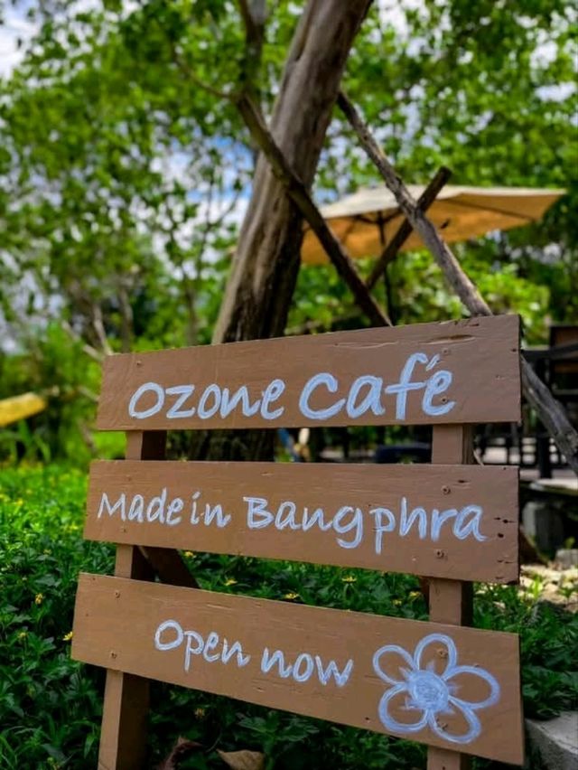 🏝🏝คาเฟ่สุดชิล ท่ามกลางธรรมชาติ☕️☕️