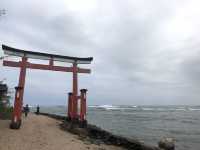 青島神社にレッツゴー🚖
