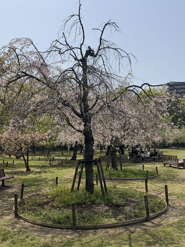 日本四國