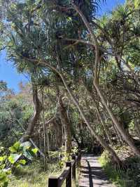 【Noosa National Park（ヌーサ国立公園）】