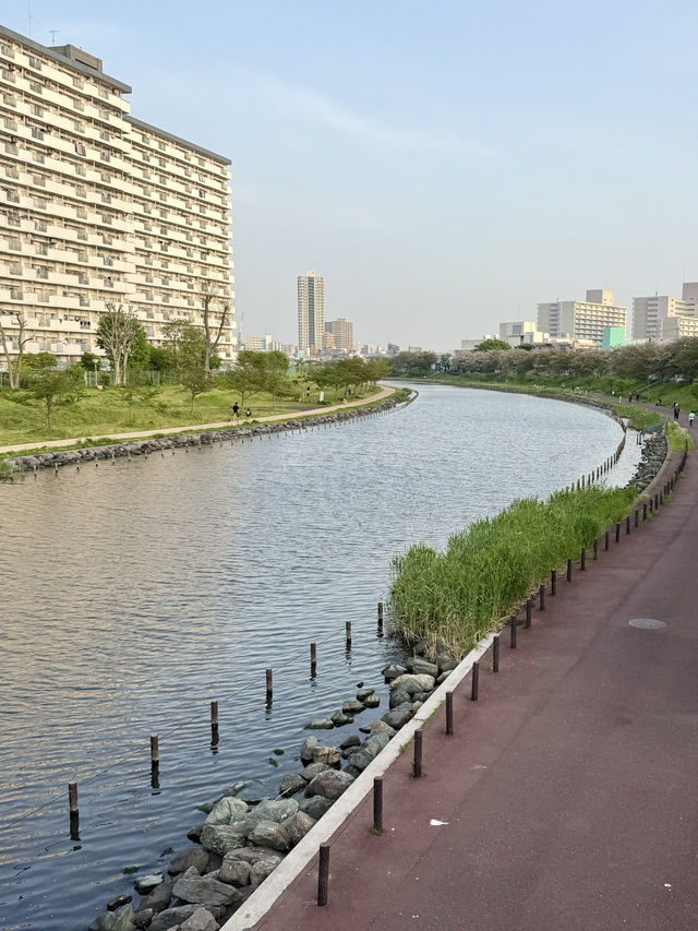 Spring Stroll at Sumida Kuritsu Kyunakagawamizube Park
