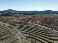 Discover the Enchanting National Arboretum Canberra! 