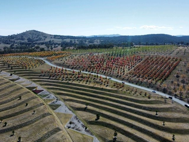 Discover the Enchanting National Arboretum Canberra! 