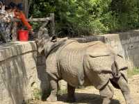 上海野生動物園優質動物園之選👍👍