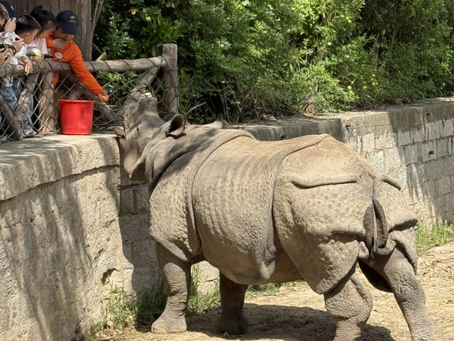 上海野生動物園優質動物園之選👍👍