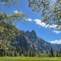 🏞️ **Yosemite Chronicles: Where Nature Steals Your Breath (and Your Heart!)** 🌲