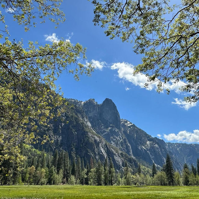 🏞️ **Yosemite Chronicles: Where Nature Steals Your Breath (and Your Heart!)** 🌲