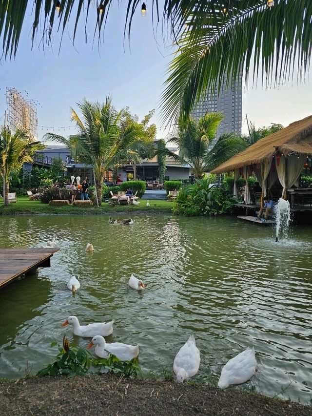 KANIN CAFE : นนทบุรี