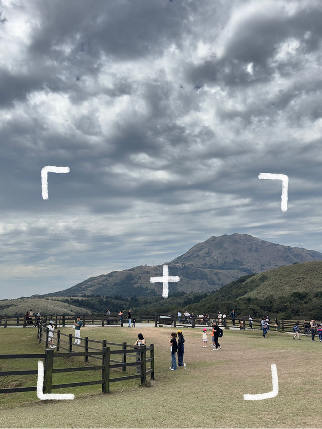 ⛰️ แวะถ่ายรูป เดินชิล @Qingtiangang Grassland ✨
