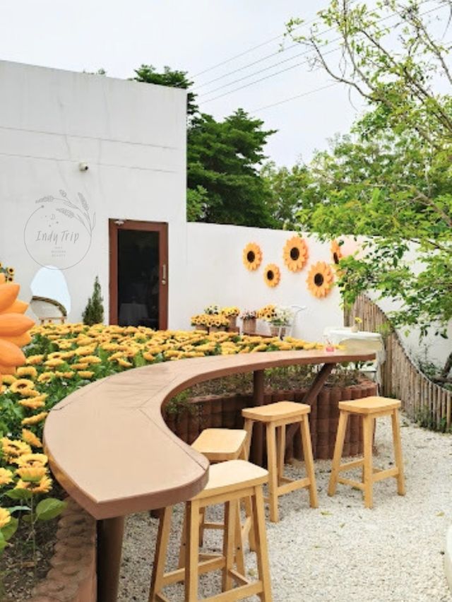 🌻Lamoonee Cafe
